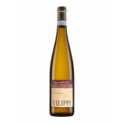 Вино Cantina Filippo Filippi Vigne della Bra