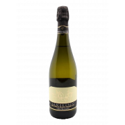 Игристое вино Lambrusco Bianco
