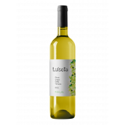 Вино Luisella Pinot Grigio