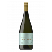 Вино Anima Pinot Grigio